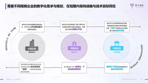 2023年中國企業低代碼與無代碼產品應用與實踐研究 計算機系統服務的轉型與機遇